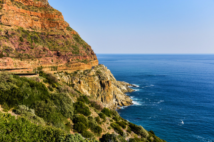 Cape Africa
