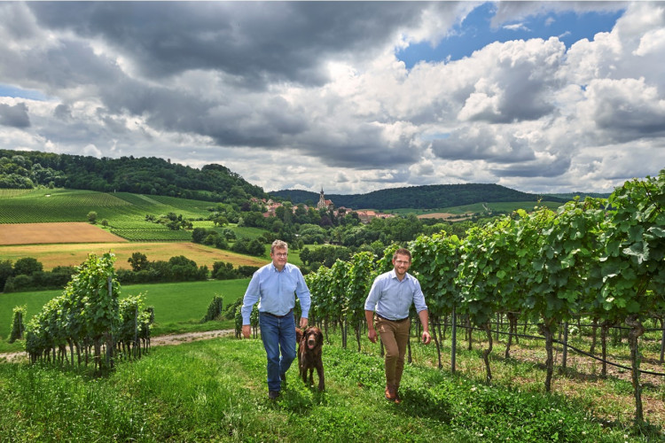 Fürstlich Castell'sche Domäne