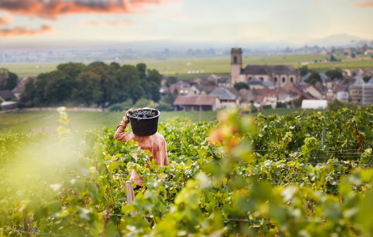 Bouchard Aîné & Fils