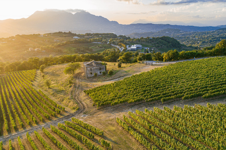 Feudi di San Gregorio