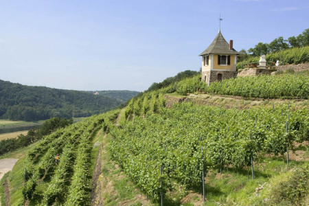 Winzergenossenschaft Meissen