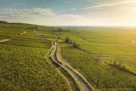 Bouchard Aîné & Fils