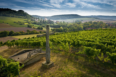 Fürstlich Castell'sche Domäne