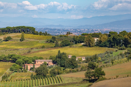 Marchese del Canneto