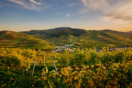 Für mich 100% Genuss