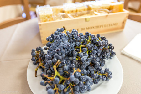 Marchese del Canneto