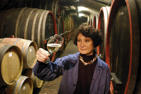 Winzergenossenschaft Meissen