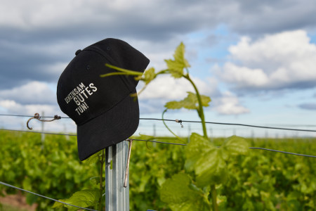 Für mich 100% Genuss