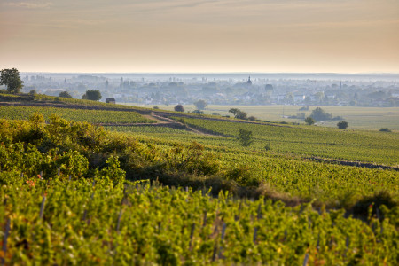 Bouchard Aîné & Fils