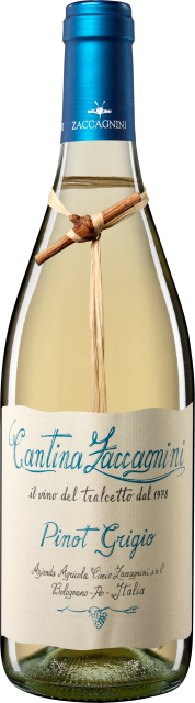 Zaccagnini Tralcetto Pinot Grigio IGT