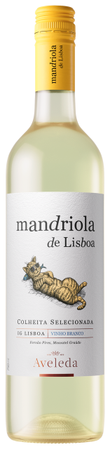 Mandriola de Lisboa Branco