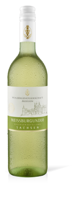 WG Meissen Weissburgunder Sachsen QbA trocken